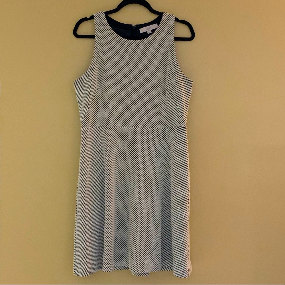 Ann Taylor LOFT Dress